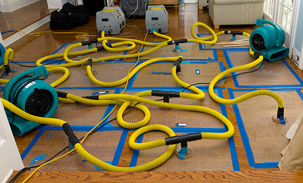Professional Sewage Cleanup technician working in South Webster, OH