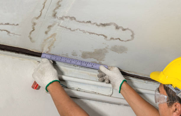 Affordable Water Damage Repair solutions in South Webster, OH